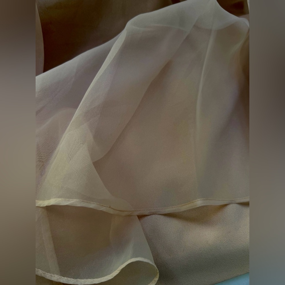 Ann Taylor Fit Flare Beige Size 10 Dress Sleeveless Formal Organza With Bow - Picture 7 of 11